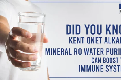 KENT QNET