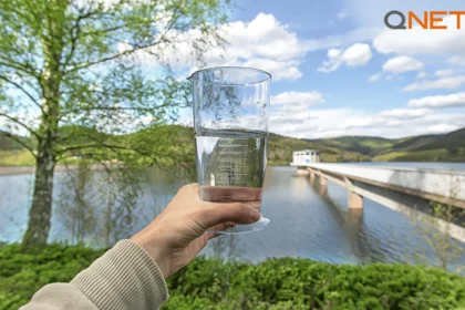 A glass of water
