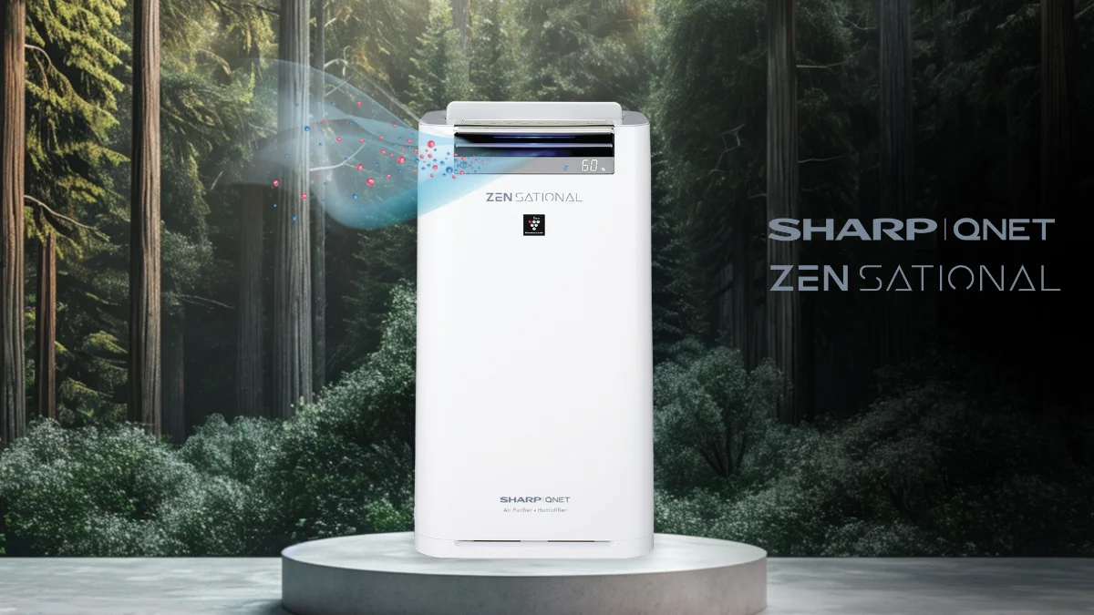 Sharp QNET Zensational